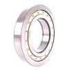 Cylindrical Roller Bearings F19008 Fersa #1 small image