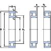 Cylindrical Roller Bearings N 1009 KTNHA/HC5SP SKF #1 small image