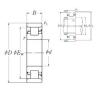 Cylindrical Roller Bearings N 204 NSK #1 small image