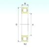 Cylindrical Roller Bearings N 207 ISB #1 small image