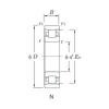 Cylindrical Roller Bearings N206 KOYO