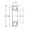 Cylindrical Roller Bearings N1006 NTN #1 small image