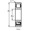 Cylindrical Roller Bearings N313 EM AST #1 small image