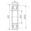 Cylindrical Bearing NF 1009 NACHI