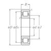 Cylindrical Bearing NF205 CYSD #1 small image