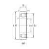 Cylindrical Bearing NF208 KOYO #1 small image