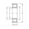 Cylindrical Bearing NJ206E.TVP Timken #1 small image