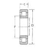 Cylindrical Bearing NJ204 FBJ