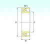 Cylindrical Bearing NN 3006 TN/SP ISB #1 small image