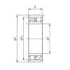 Cylindrical Bearing NN3005 NACHI #1 small image