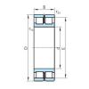 Cylindrical Bearing NNCL4976V PSL #1 small image