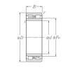 Cylindrical Roller Bearings Distributior NNU4968 NTN #1 small image