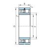 Cylindrical Roller Bearings Distributior NNU49/630 PSL #1 small image