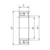 Cylindrical Roller Bearings Distributior NNU4921 NACHI #1 small image