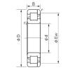 Cylindrical Roller Bearings Distributior NP 1005 NACHI