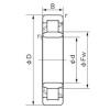 Cylindrical Roller Bearings Distributior NU 1005 NACHI