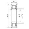 Cylindrical Roller Bearings Distributior NU 1011 NACHI #1 small image