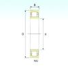 Cylindrical Roller Bearings Distributior NU 10/560 ISB