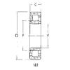 Cylindrical Roller Bearings Distributior NU1007 FBJ