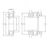 Cylindrical Roller Bearings Distributior NU1009ECP/HC5C3 SKF