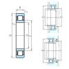 Cylindrical Roller Bearings Distributior NU1048 PSL #1 small image