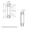 cylindrical bearing nomenclature SL181892-E INA