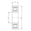 Spherical Roller Bearings 20204 ISO