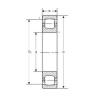 Spherical Roller Bearings 20204 SIGMA