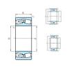 spherical roller bearing axial load 239/750CCW33MB PSL #1 small image