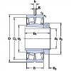 tapered roller bearing axial load BS2-2220-2CS5K/VT143 + H 2320 E SKF #1 small image