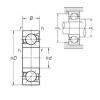 Angular Contact Ball Bearings 7203BEA NSK