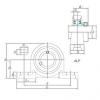 Bearing housed units ALP206-18 KOYO #1 small image