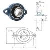 Bearing housed units BLF201-8 FYH #1 small image