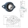 Bearing housed units BLF207-23 FYH #1 small image