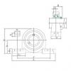 Bearing housed units BLP202-10 KOYO #1 small image