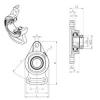 Bearing housed units ESFA205 SNR #1 small image