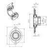 Bearing housed units ESPFL207 SNR