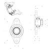 Bearing housed units EXFLZ207 SNR #1 small image