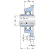 Bearing housed units FY 2.7/16 TF/VA201 SKF #1 small image