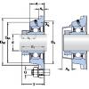 Bearing housed units FY 1. WDW SKF