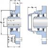 Bearing housed units FYWR 1.1/4 AYTHR SKF