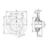 Bearing housed units RRY15-VA INA