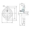 Bearing housed units KHLFL201AJ NACHI