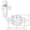 Bearing housed units MUCFL208 NACHI