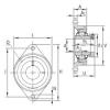 Bearing housed units LCJT20-N INA #1 small image