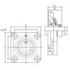 Bearing housed units NANF201 KOYO