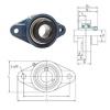 Bearing housed units NANFL203 FYH #1 small image