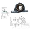 Bearing housed units NAP204 FYH #1 small image