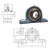 Bearing housed units NAPK206-19 FYH