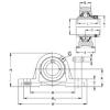 Bearing housed units PASE30-N NKE